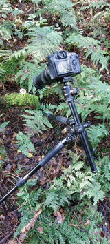 Ronald A. review photo