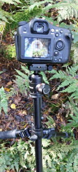 Ronald A. review photo