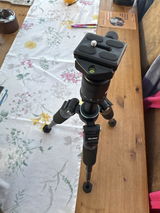 August H. review photo