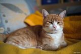 Bernd K. review photo