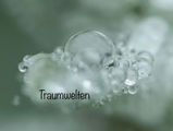Rainer J. review photo