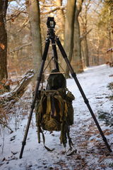 Harald L. review photo