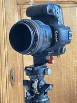 Sylvain D. review photo
