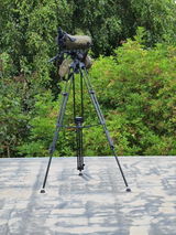 Elmar G. review photo