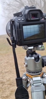 Volker P. review photo