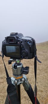 Volker P. review photo