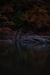 Kunde review photo