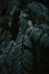 Kunde review photo
