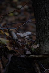 Kunde review photo