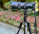Thiele review photo
