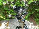 Bernhard H. review photo