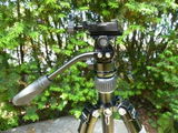 Bernhard H. review photo