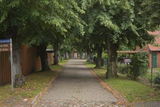 Uwe S. review photo
