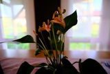 Manfred S. review photo