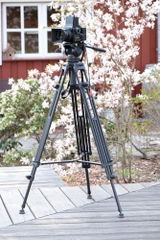 Helmut K. review photo