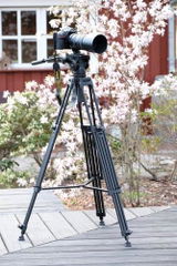 Helmut K. review photo