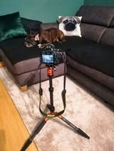 Rainer J. review photo