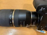 Sigmund S. review photo