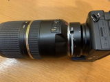 Sigmund S. review photo