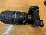 Sigmund S. review photo