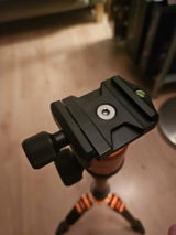 Renny review photo