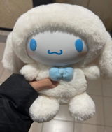 Ryan review photo