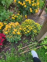 Rhonda Owens review photo
