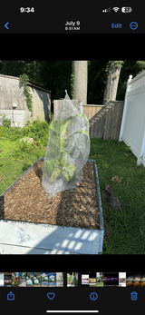 Josephine Kukla review photo