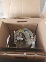 Crystalee review photo