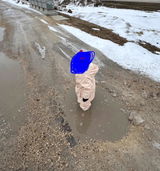 Anonymous review photo