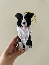 Molly review photo