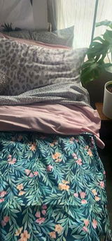 Vera review photo