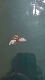 Rihannon review photo