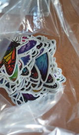 Karissa H. review photo