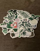 Liberty H. review photo