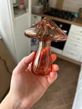 Monica review photo