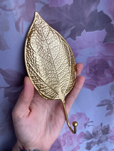 Alaia G. review photo