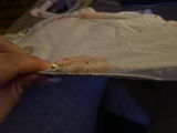 Sabra review photo