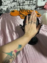 S &. review photo