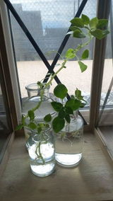 EMMA K. review photo