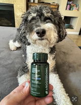 Shandra Piscopo review photo