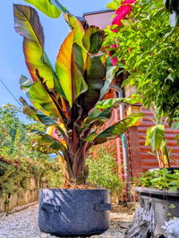 100l Stofftopf