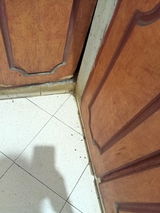 Muhammad zahid review photo