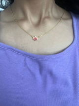 Ananya review photo