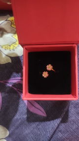 Sowba review photo