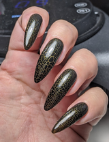 Al Qi review photo
