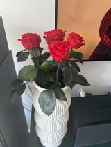 רונית טלבי review photo