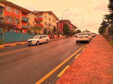 Mutlu A. review photo