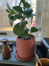 Mathilde review photo