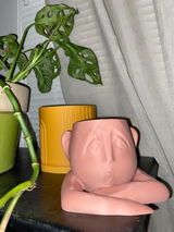 Alverta review photo